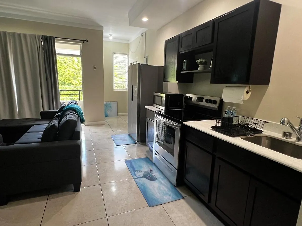 Luxe City Haven At Silverbrook Κίνγκστον